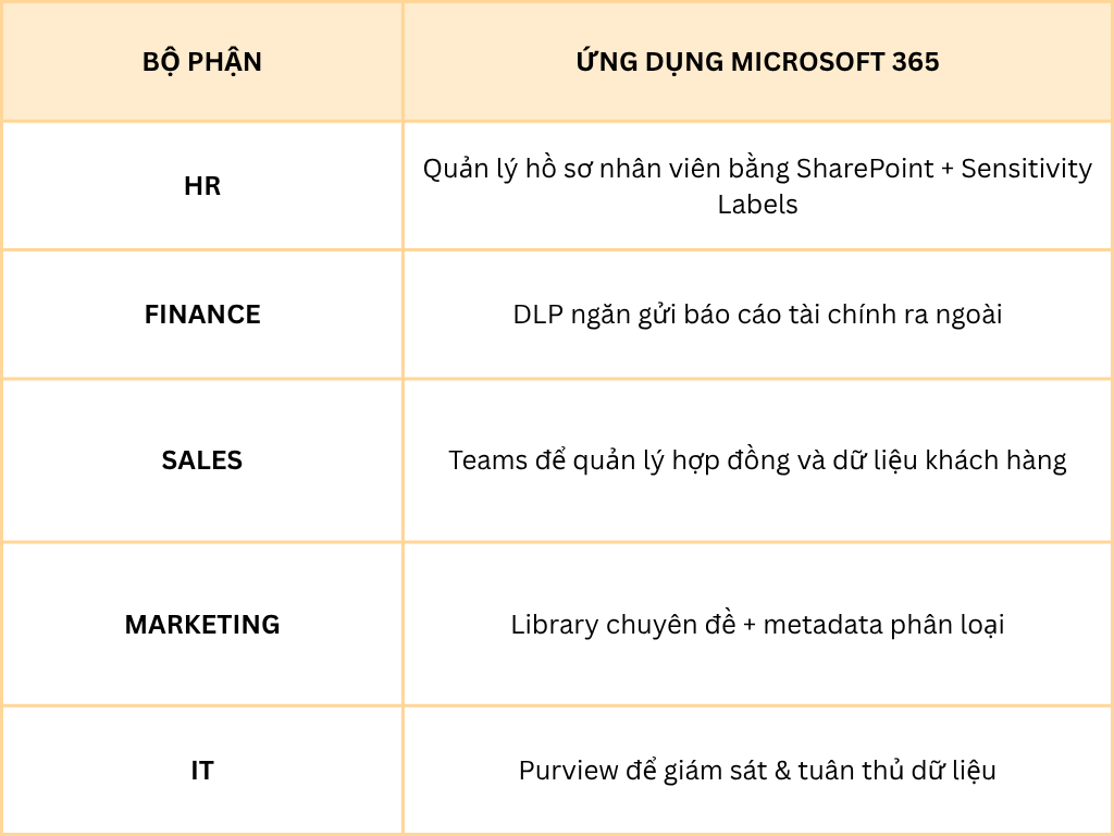 Ứng dụng thực tế Microsoft 365
